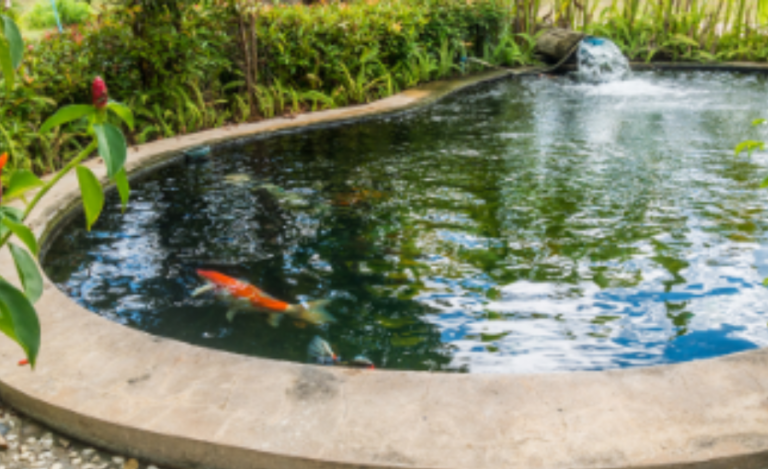 How Does the Oase Pontec PondoClear Multiclear Set 8000 Keep Your Pond Water Clear?