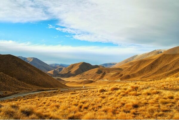 New Zealand Visa